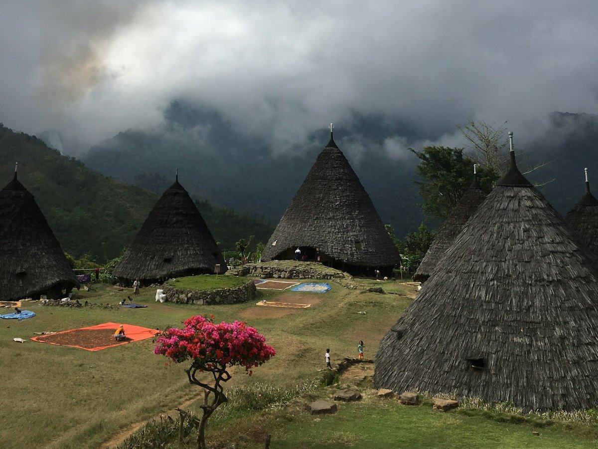 Kegelvormige Mbaru Niang-huizen van Wae Rebo in de ochtendmist van de bergen, Flores, Indonesië